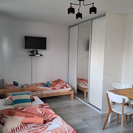 Apartament Obok Zamku Malbork Kültér fotó